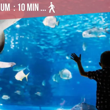 Apartman ღ Verdiere • Au Coeur Du Vieux Port Et Cosy La Rochelle